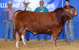FL Polled Touchable 311A